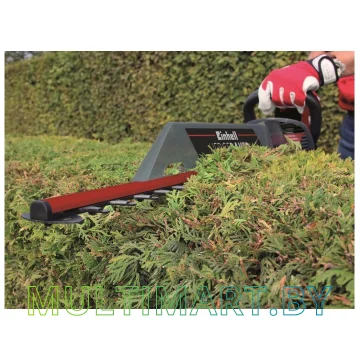 Кусторез Einhell GC-EH 6055/1 картинка 4